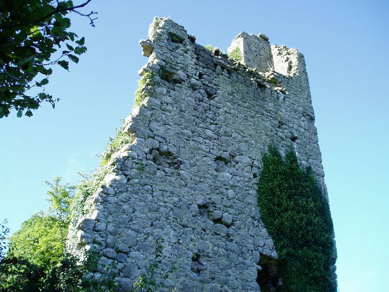 065Rindoon 
