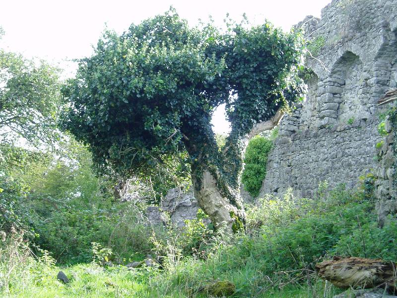 070Rindoon 