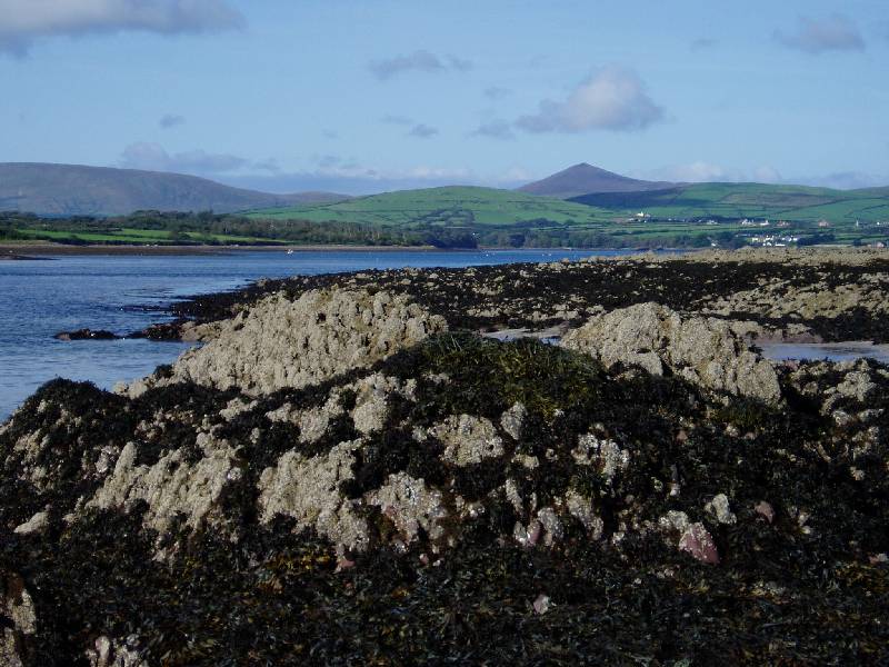 121Dingle 