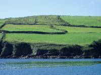 120Dingle 
