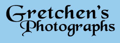 Gretchen's Photographs
